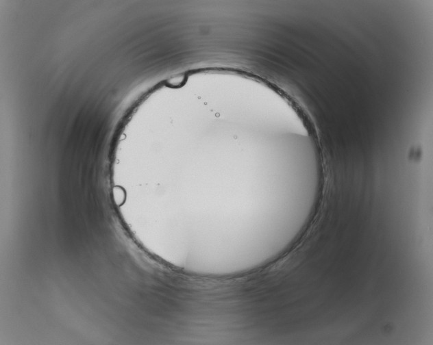 X0000113171072200910161302