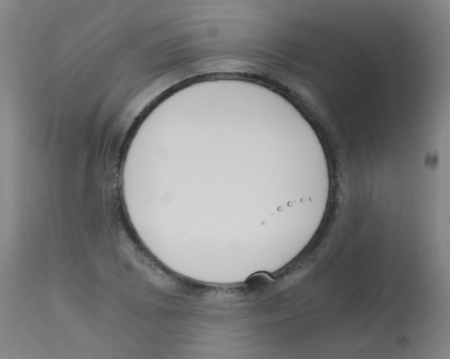 X0000113171073200910161302