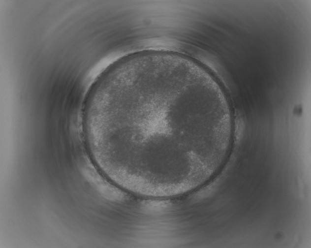 X0000113171074200910161302