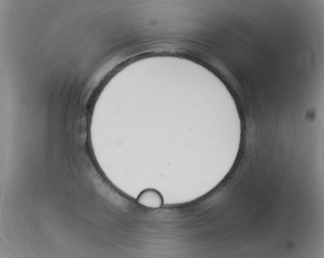 X0000113171075200910161302