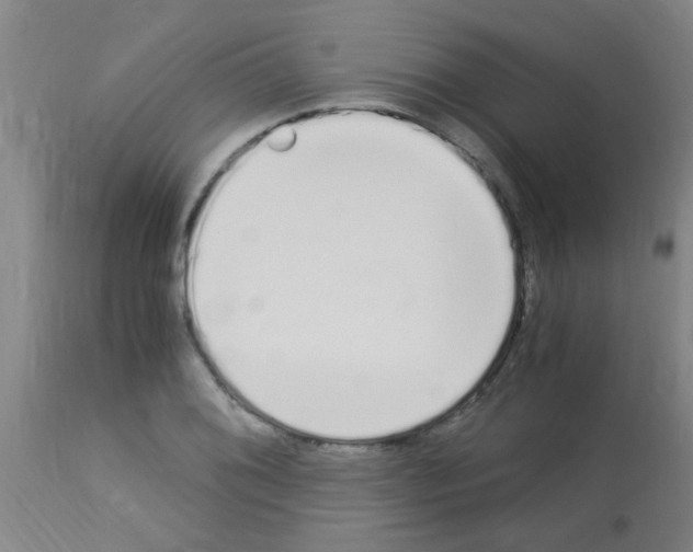 X0000113171076200910161302