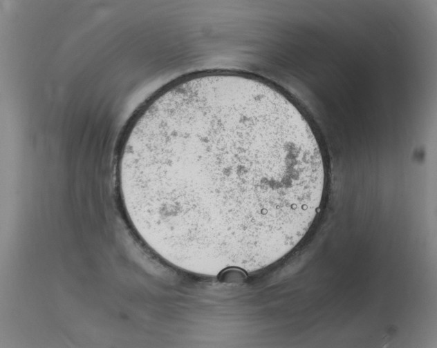 X0000113171077200910161302