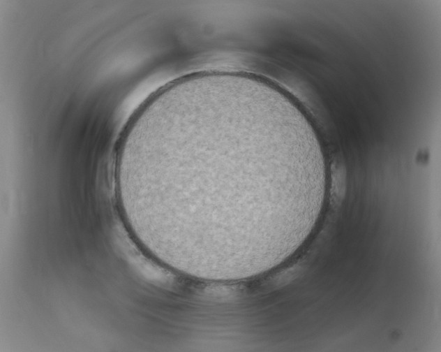 X0000113171078200910161302
