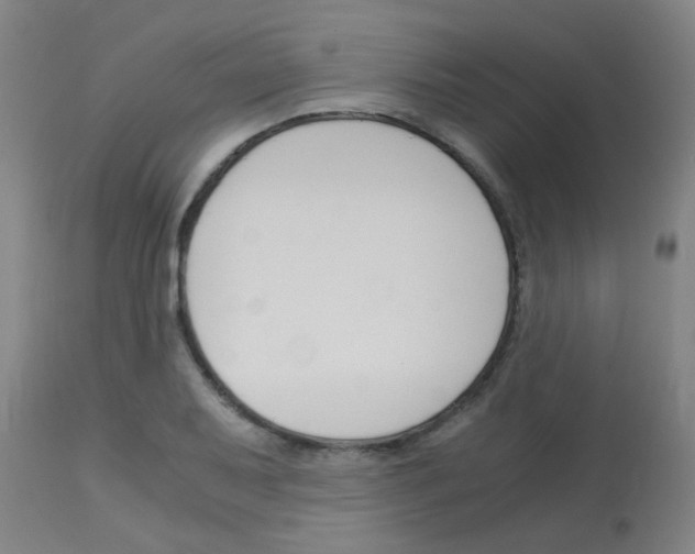 X0000113171079200910161302