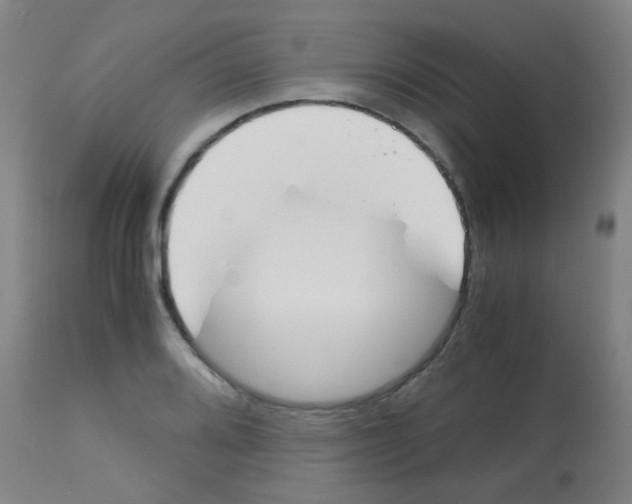 X0000113171080200910161302