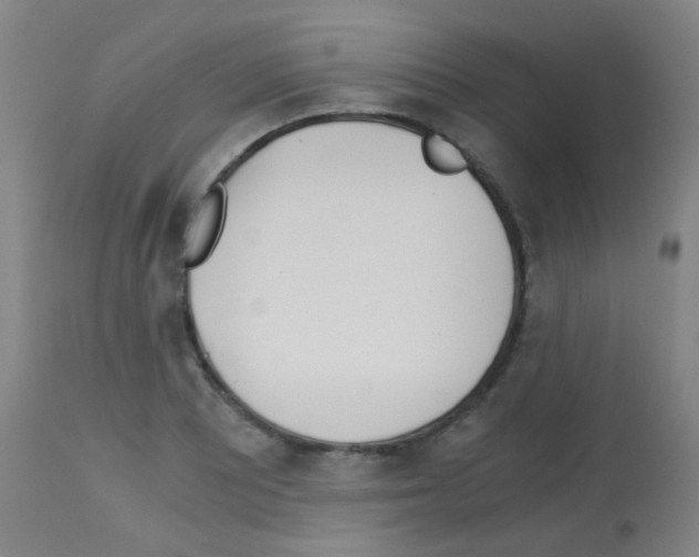 X0000113171081200910161302