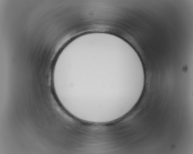 X0000113171083200910161302