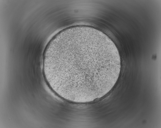 X0000113171084200910161302