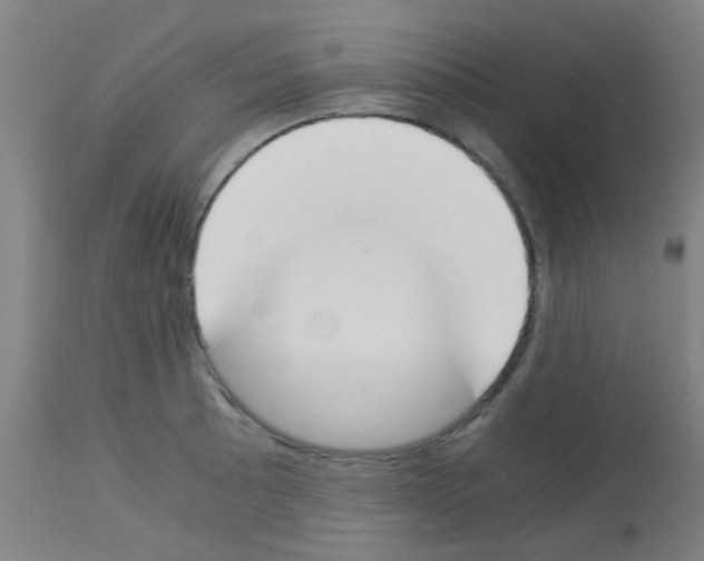 X0000113171089200910161302