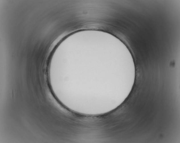 X0000113171091200910161302