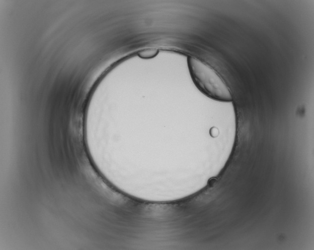 X0000113171092200910161302