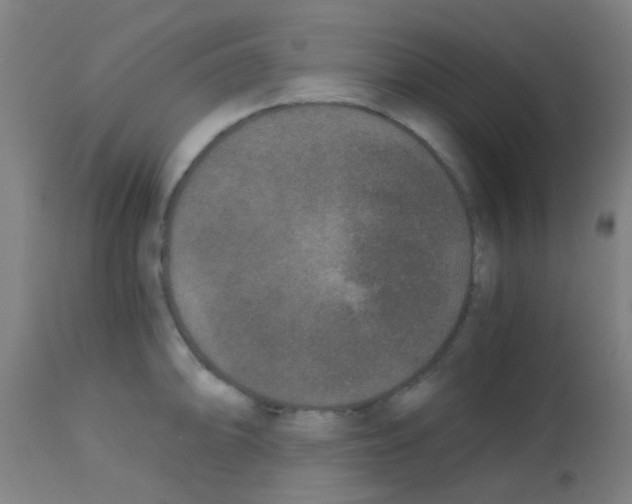 X0000113171094200910161302