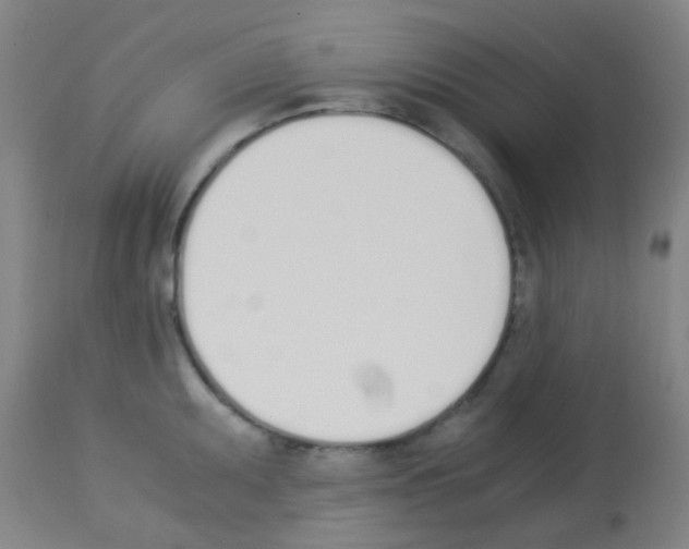 X0000113171095200910161302