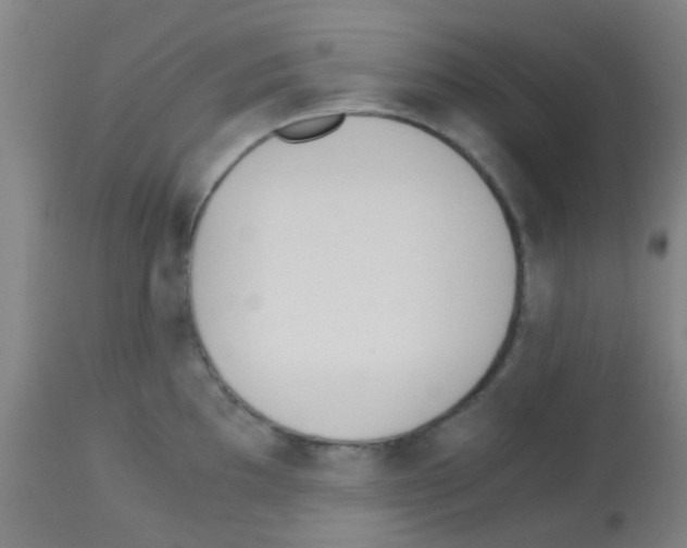 X0000113171097200910161302