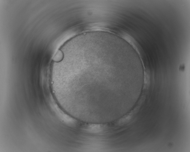 X0000113171098200910161302