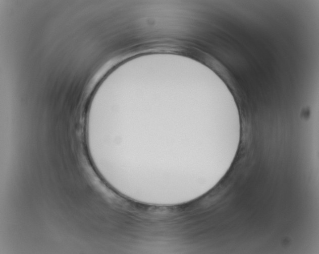 X0000113171099200910161302