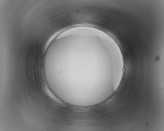 X0000113171100200910161302