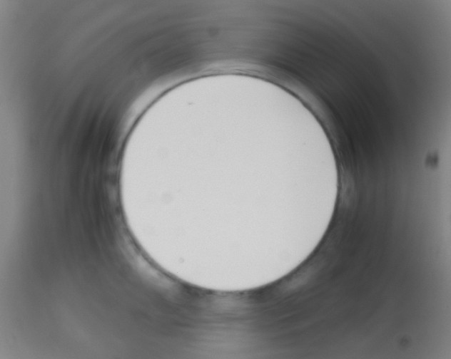 X0000113171102200910161302