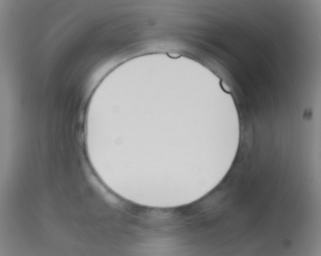 X0000113171103200910161302