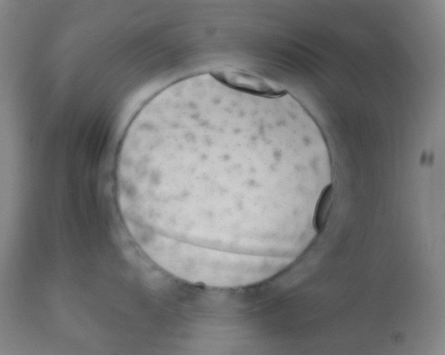 X0000113171104200910161302