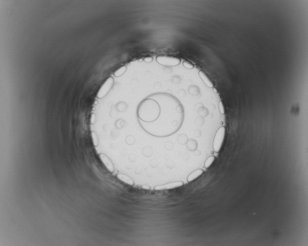 X0000113171106200910161301