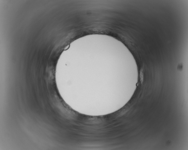 X0000113171107200910161301