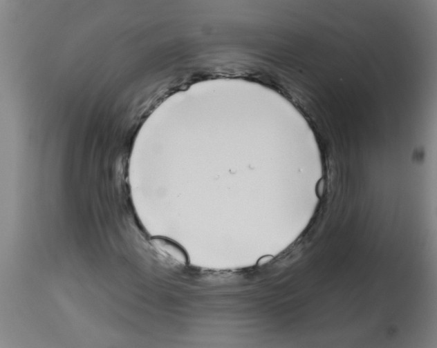 X0000113171108200910161301