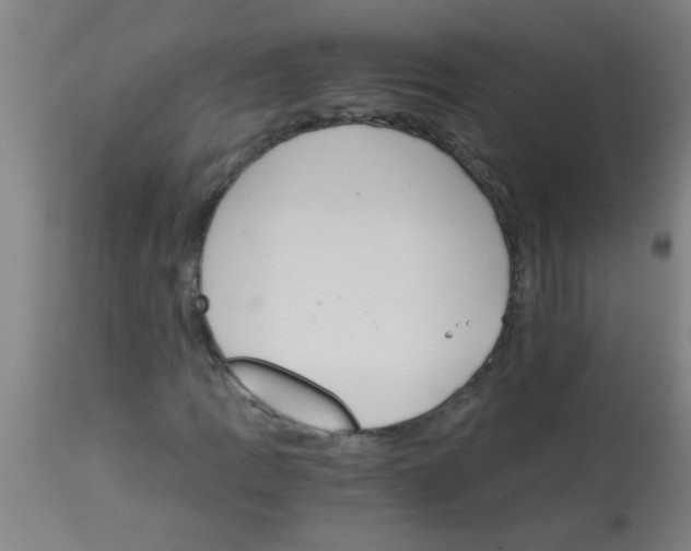 X0000113171109200910161301