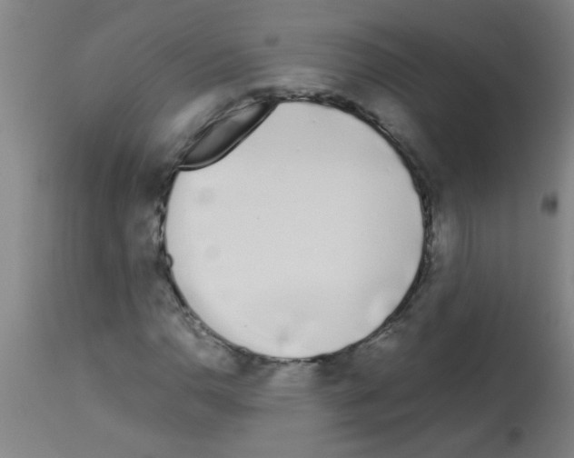X0000113171110200910161301
