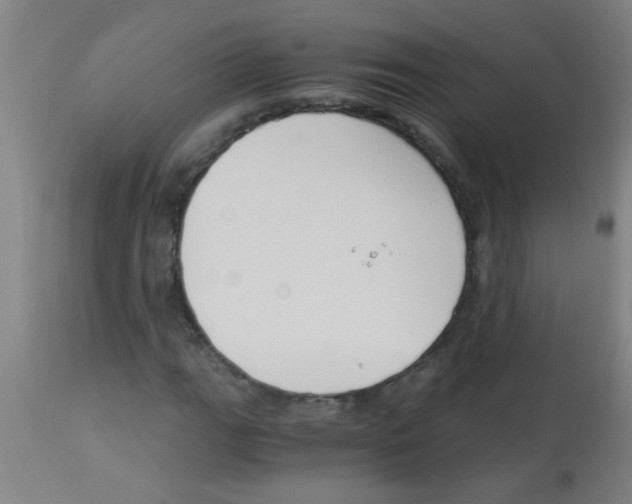 X0000113171111200910161301