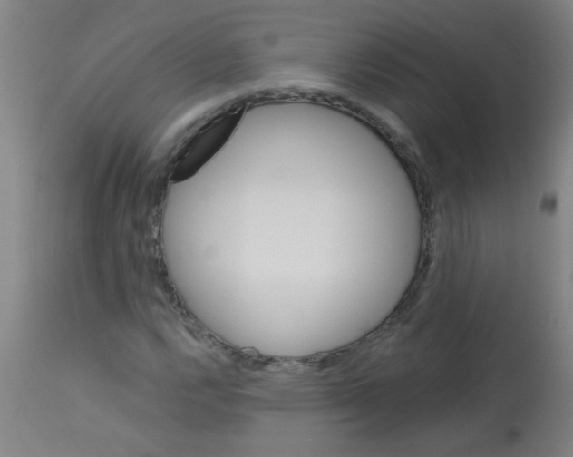 X0000113171112200910161301