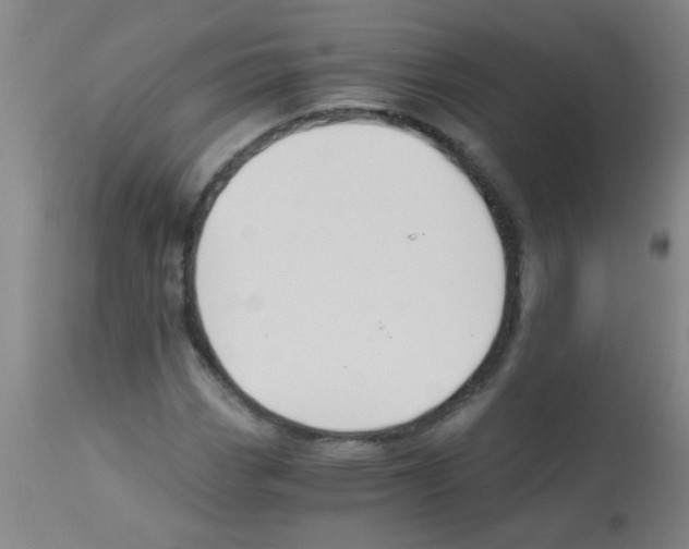 X0000113171113200910161301