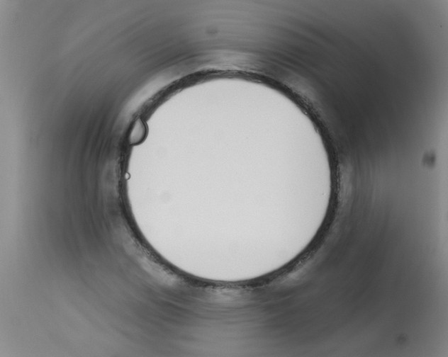 X0000113171114200910161301