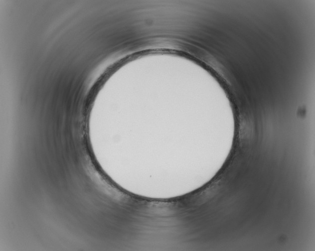 X0000113171116200910161301