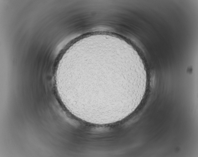 X0000113171117200910161301