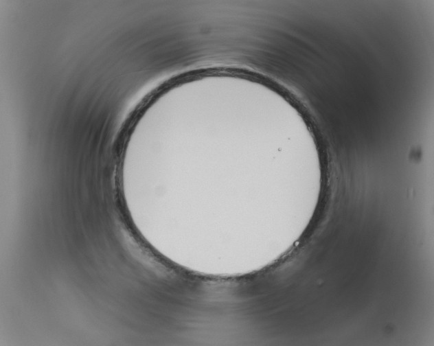 X0000113171118200910161301