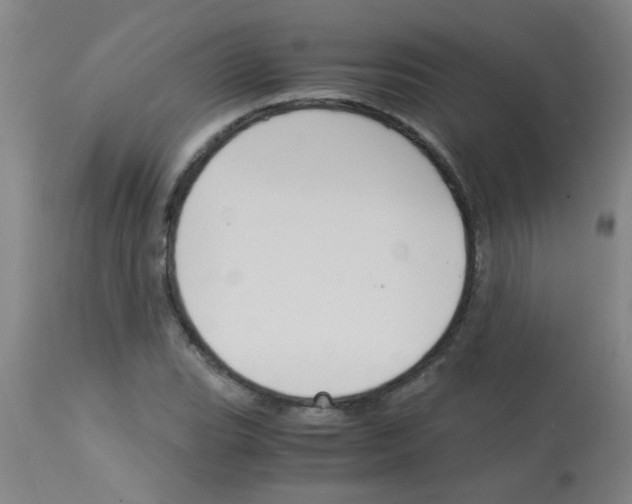X0000113171119200910161301