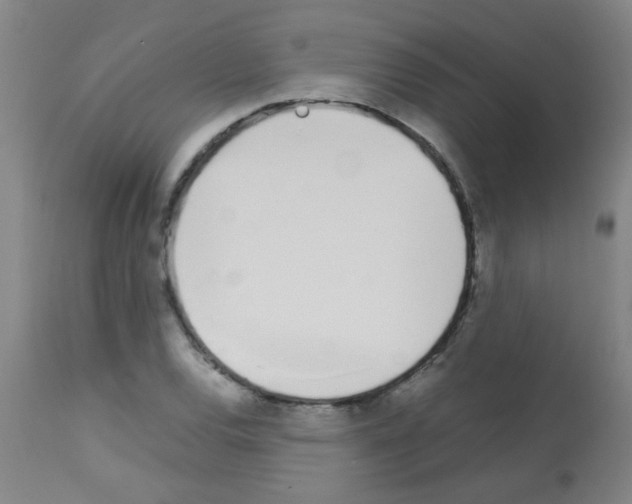 X0000113171120200910161301