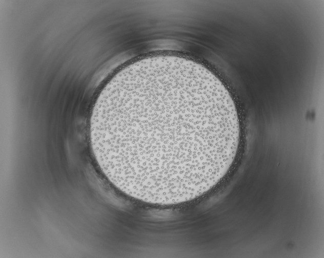 X0000113171121200910161301