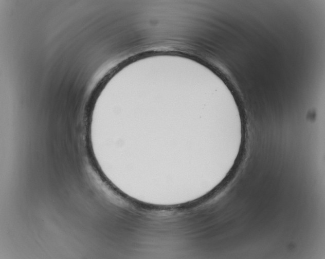 X0000113171122200910161301