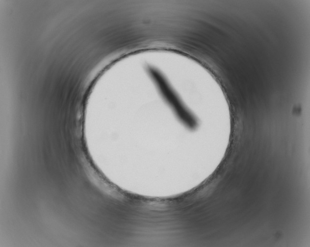 X0000113171126200910161301