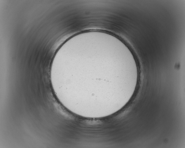 X0000113171129200910161301
