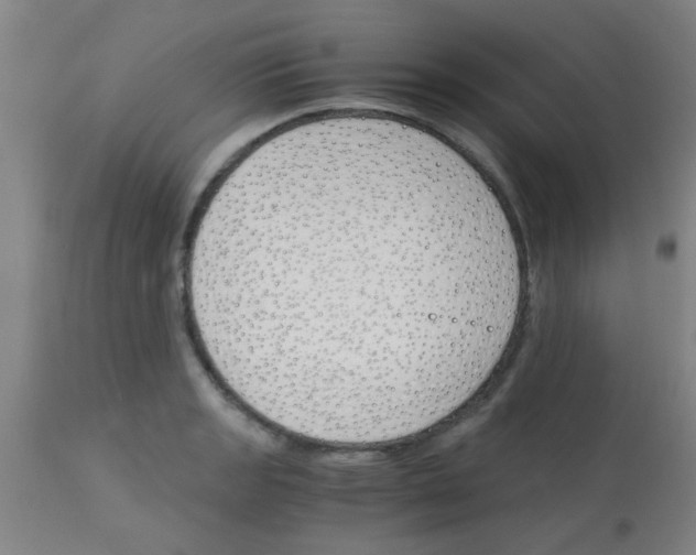 X0000113171133200910161301