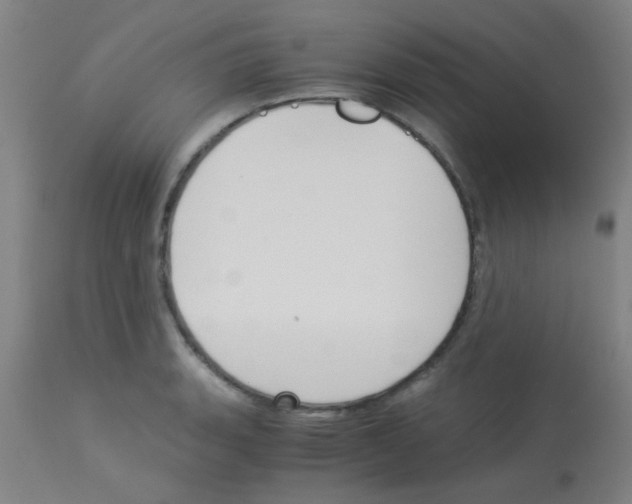 X0000113171135200910161301