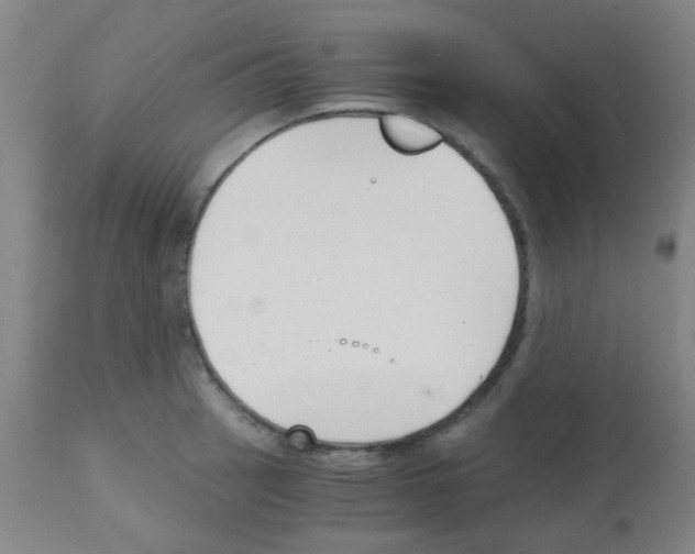 X0000113171137200910161301