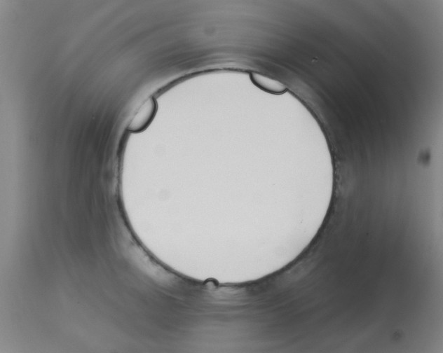 X0000113171140200910161301