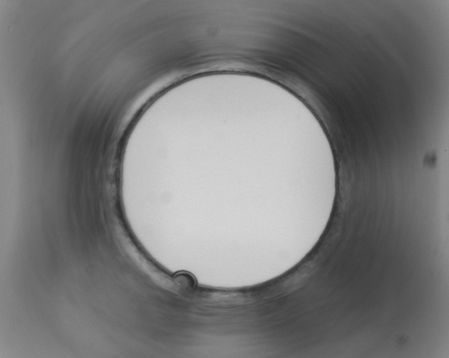 X0000113171142200910161301