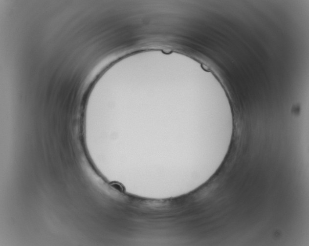 X0000113171147200910161302