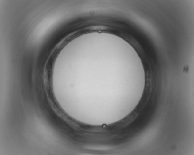 X0000113171151200910161302