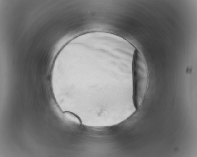 X0000113171152200910161302